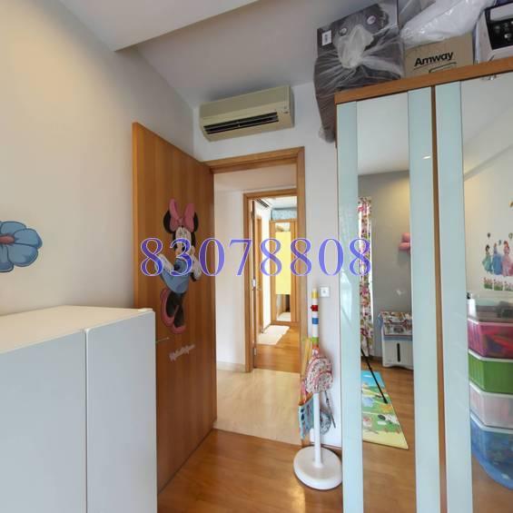 Amaryllis Ville (D11), Condominium #166788572